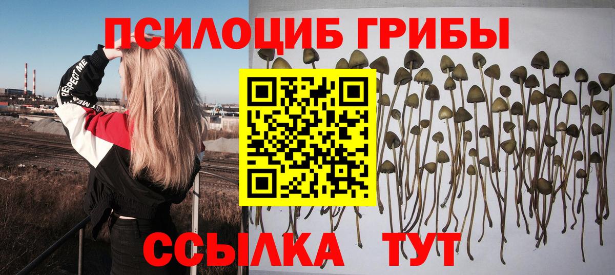 Углич  закладки  Вход с VPN  Галлюциногенные грибы MAGIC MUSHROOMS 